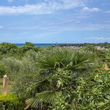 Dolib Guest house 3*
