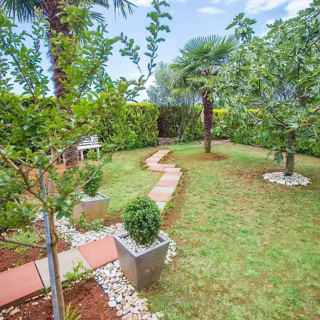 Guest house Dolib